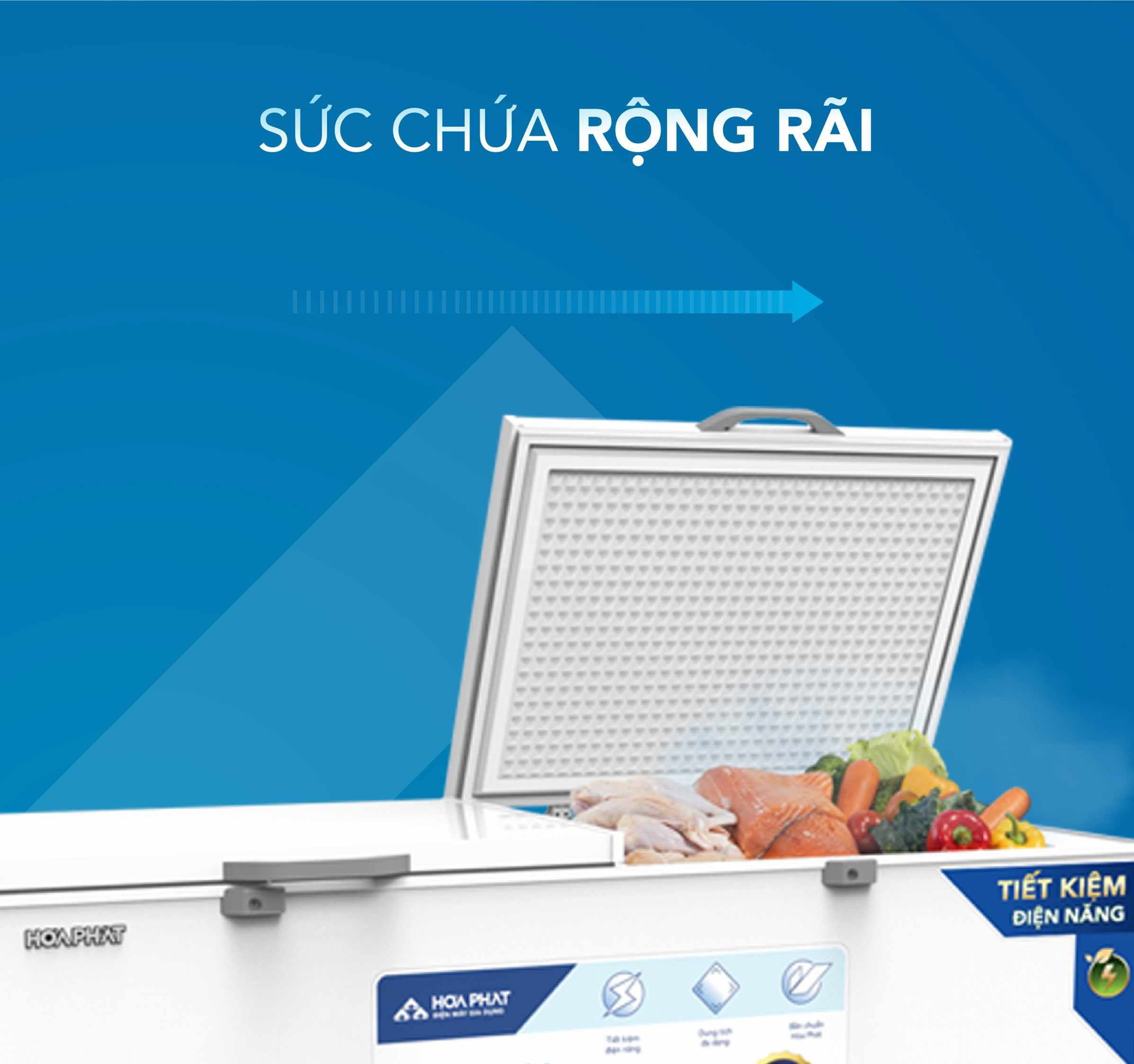 Tủ bảo quản 1 ngăn 544L Hòa Phát HPF- AD6544